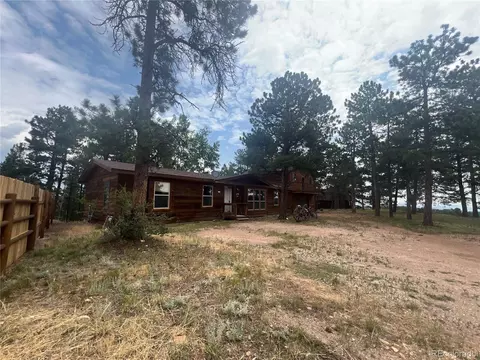 119 Conifer Dr, Bailey, CO 80421 photo 33