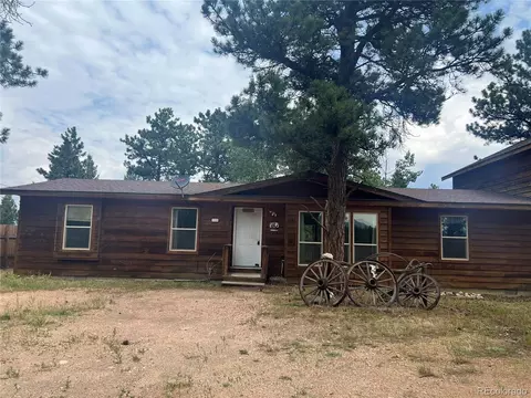119 Conifer Dr, Bailey, CO 80421 photo 32