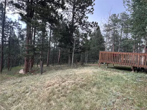 119 Conifer Dr, Bailey, CO 80421 photo 44