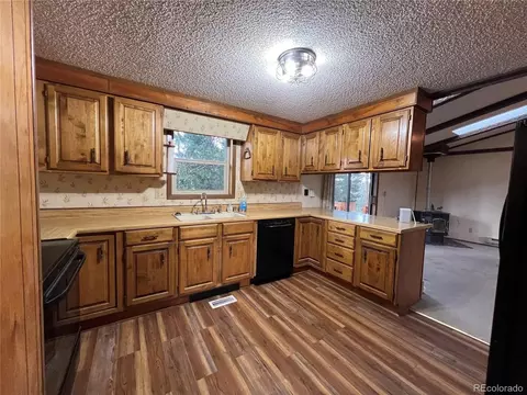 119 Conifer Dr, Bailey, CO 80421 photo 9