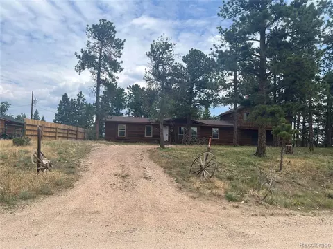 119 Conifer Dr, Bailey, CO 80421 photo 3