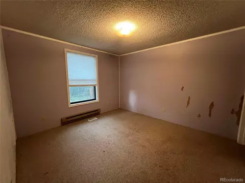 119 Conifer Dr, Bailey, CO 80421 photo 22