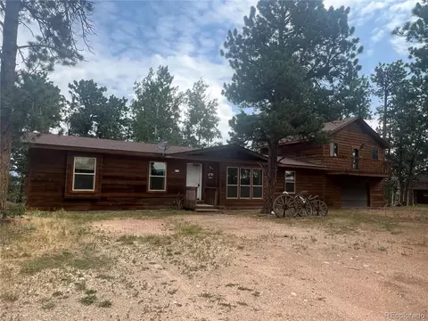 119 Conifer Dr, Bailey, CO 80421