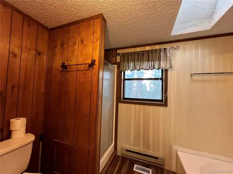 119 Conifer Dr, Bailey, CO 80421 photo 19