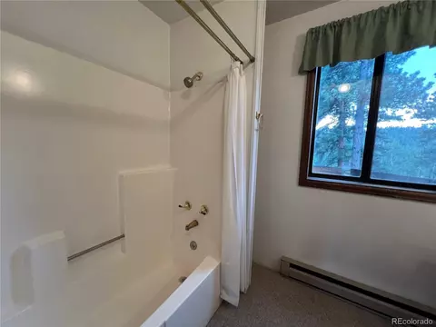 119 Conifer Dr, Bailey, CO 80421 photo 29