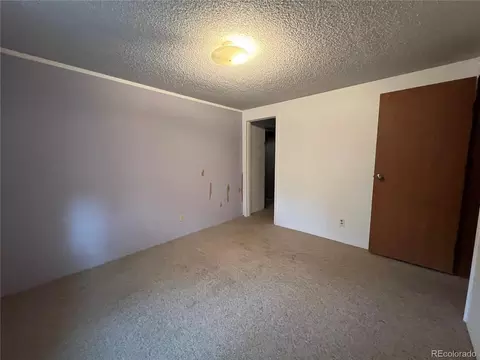 119 Conifer Dr, Bailey, CO 80421 photo 23