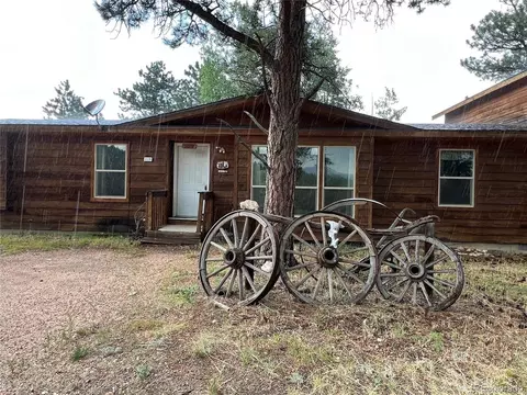 119 Conifer Dr, Bailey, CO 80421 photo 2