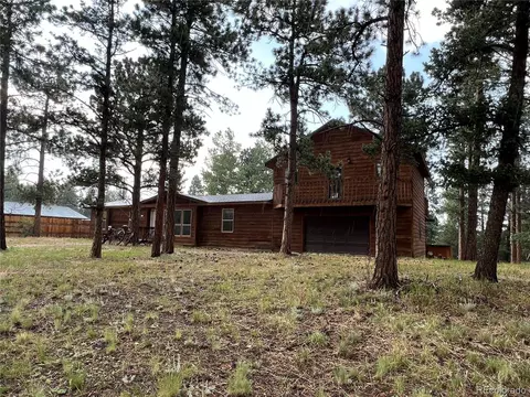 119 Conifer Dr, Bailey, CO 80421 photo 35