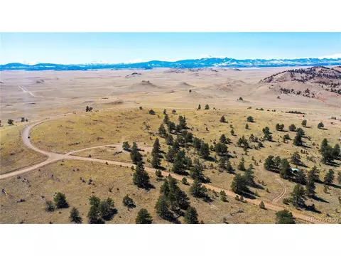 145 Maricopa Trl, Hartsel, CO 80449