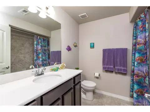 12602 Culebra Peak Dr, Peyton, CO 80831 photo 26
