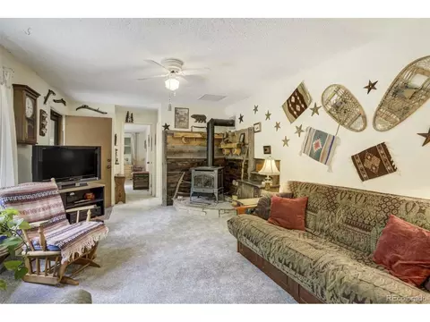 Undisclosed, Bailey, CO 80421 photo 37
