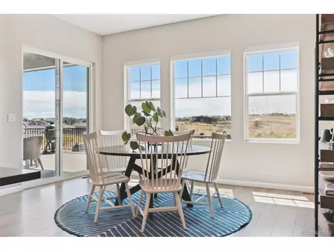 3038 Blithe Pt, Castle Rock, CO 80108 photo 15
