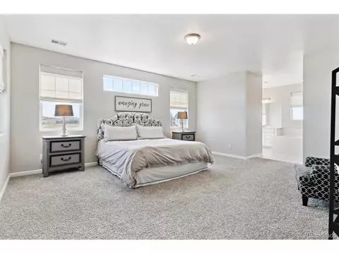 3038 Blithe Pt, Castle Rock, CO 80108 photo 24