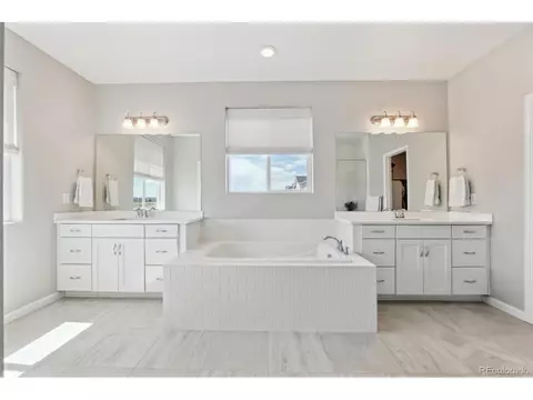 3038 Blithe Pt, Castle Rock, CO 80108 photo 26