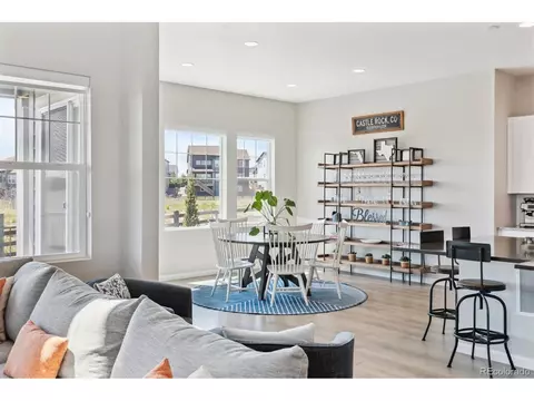 3038 Blithe Pt, Castle Rock, CO 80108 photo 18