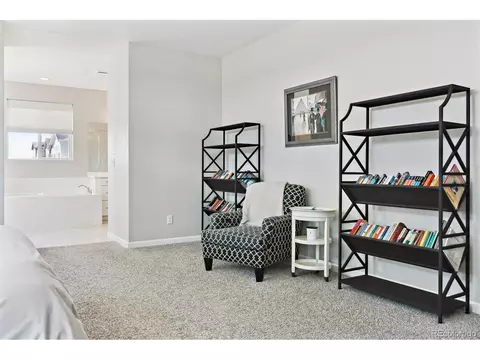 3038 Blithe Pt, Castle Rock, CO 80108 photo 25