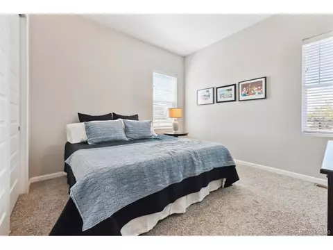 3038 Blithe Pt, Castle Rock, CO 80108 photo 20