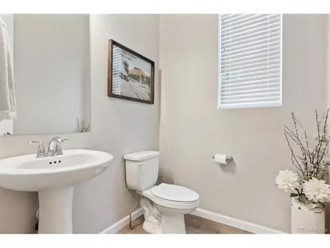 3038 Blithe Pt, Castle Rock, CO 80108 photo 19