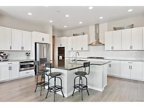 3038 Blithe Pt, Castle Rock, CO 80108 photo 12