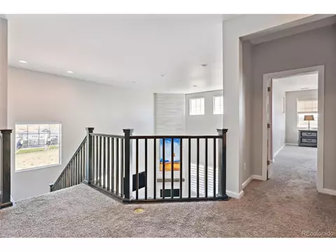 3038 Blithe Pt, Castle Rock, CO 80108 photo 23