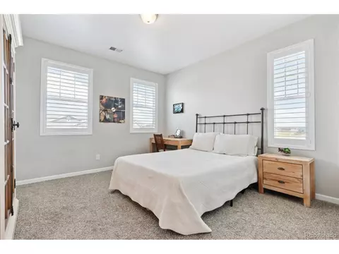 3038 Blithe Pt, Castle Rock, CO 80108 photo 33