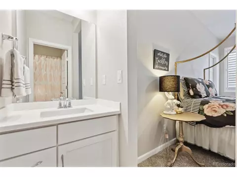 3038 Blithe Pt, Castle Rock, CO 80108 photo 30