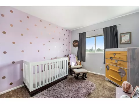 2236 E 109th Dr, Northglenn, CO 80233 photo 15