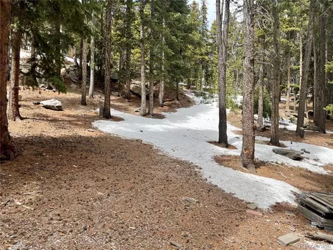 131 Sawmill Ln, Idaho Springs, CO 80452