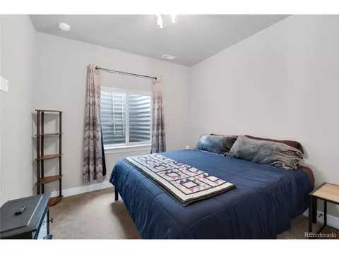 15538 Native Willow Dr, Monument, CO 80132 photo 28