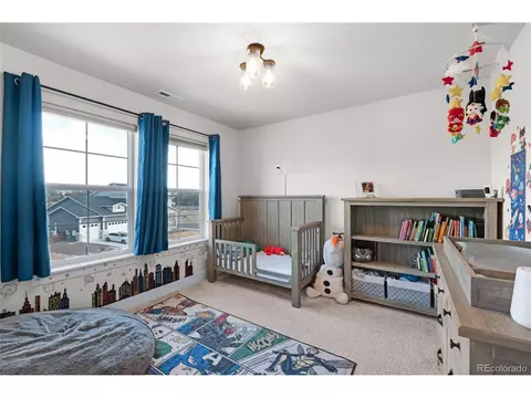 15538 Native Willow Dr, Monument, CO 80132 photo 23