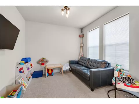 15538 Native Willow Dr, Monument, CO 80132 photo 11