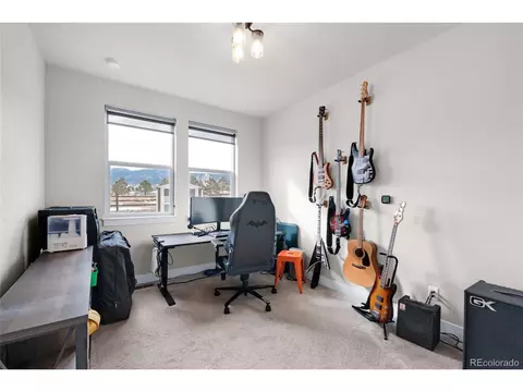 15538 Native Willow Dr, Monument, CO 80132 photo 14