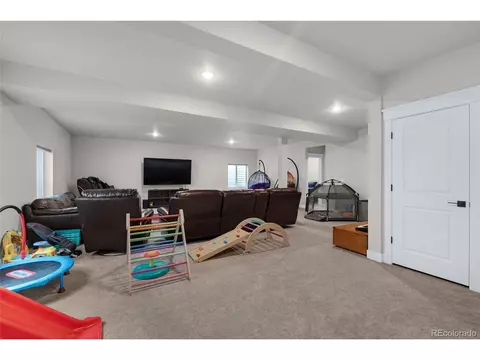 15538 Native Willow Dr, Monument, CO 80132 photo 24