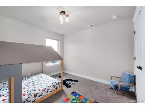 15538 Native Willow Dr, Monument, CO 80132 photo 19