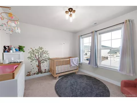 15538 Native Willow Dr, Monument, CO 80132 photo 21