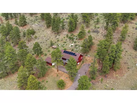 View/Area - 202 Badger Ln, Bailey, CO 80421 photo 3 of 6