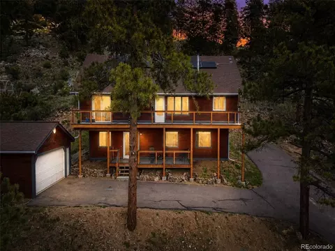 202 Badger Ln, Bailey, CO 80421