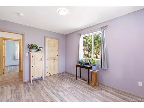 Bedroom - 202 Badger Ln, Bailey, CO 80421 photo 6 of 7