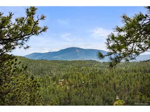 View/Area - 202 Badger Ln, Bailey, CO 80421 photo 1 of 6