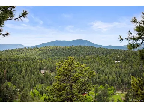 View/Area - 202 Badger Ln, Bailey, CO 80421 photo 2 of 6