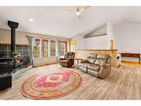 Living - 202 Badger Ln, Bailey, CO 80421 photo 1 of 2