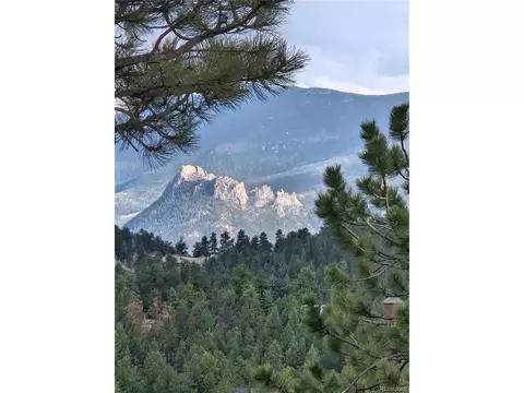 Other - 202 Badger Ln, Bailey, CO 80421 photo 4 of 13
