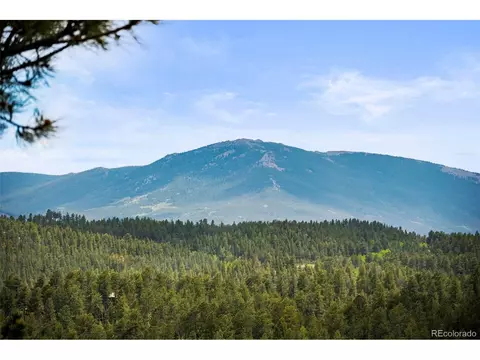 Other - 202 Badger Ln, Bailey, CO 80421 photo 3 of 13