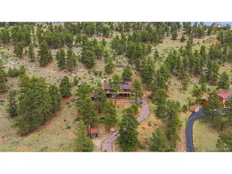 View/Area - 202 Badger Ln, Bailey, CO 80421 photo 6 of 6