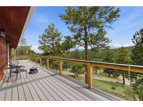Exterior - 202 Badger Ln, Bailey, CO 80421 photo 7 of 8