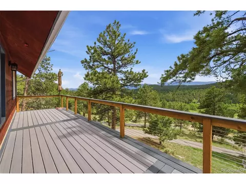 Exterior - 202 Badger Ln, Bailey, CO 80421 photo 5 of 8