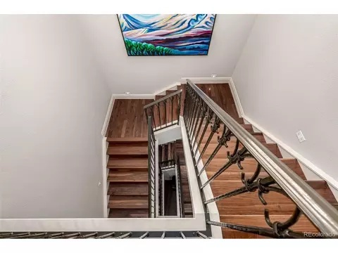 648 Ruby Trust Dr, Castle Rock, CO 80108 photo 27
