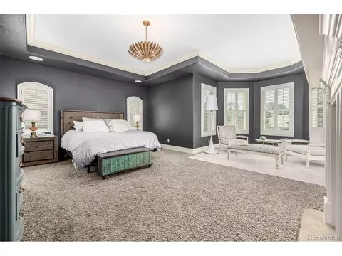 648 Ruby Trust Dr, Castle Rock, CO 80108 photo 21