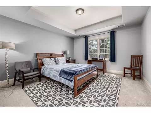 648 Ruby Trust Dr, Castle Rock, CO 80108 photo 30