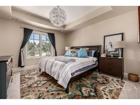 648 Ruby Trust Dr, Castle Rock, CO 80108 photo 29